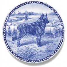 Dutch Shepherd Dog - Longhaired 